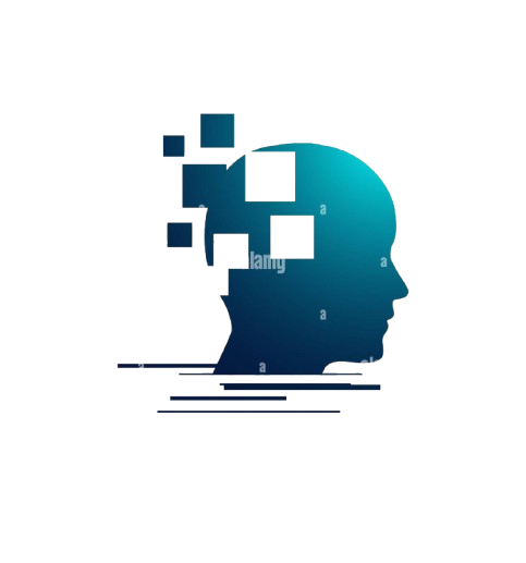 WordPress E-Learning